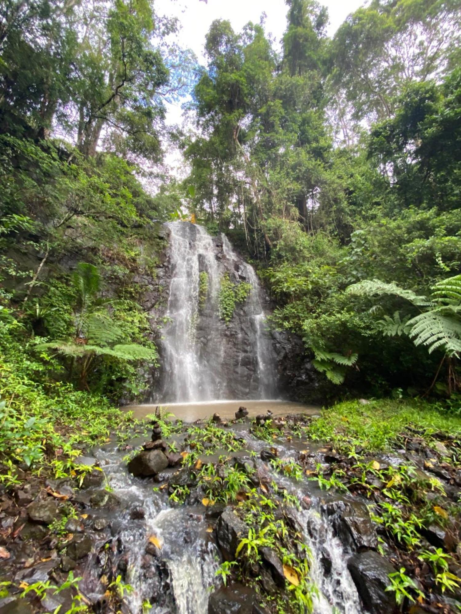 Nimbin Waterfall Retreat Exterior foto